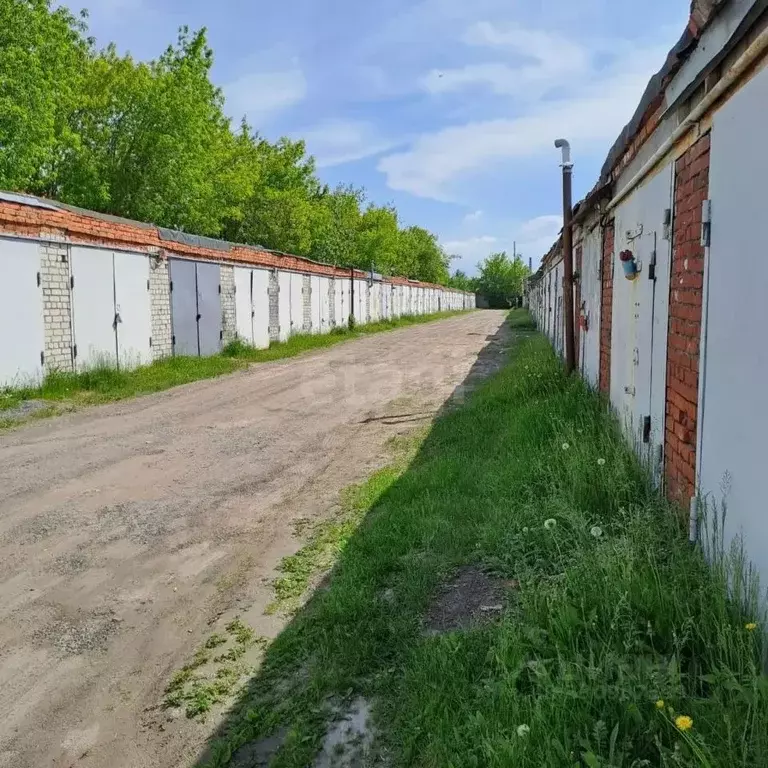 Гараж в Тюменская область, Тюмень Дамбовская ул., 53Ас15 (21 м) - Фото 1