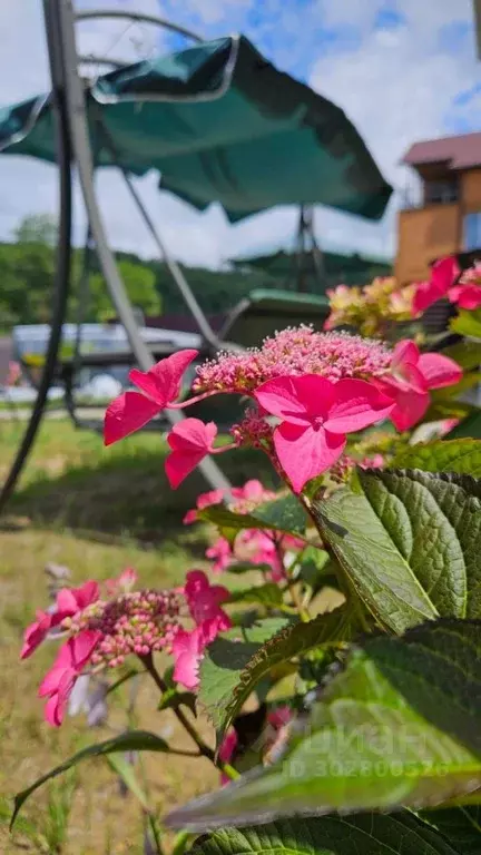 Дом в Краснодарский край, Сочи пос. Вардане, ул. Фруктовая, 41 (60 м) - Фото 1