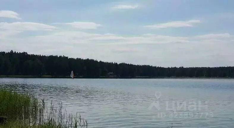 Участок в Рязанская область, Клепиковский район, Ненашкинское с/пос, ... - Фото 2