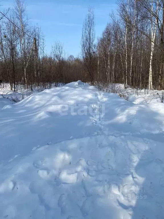 Дом в Хабаровский край, Хабаровский район, с. Бычиха ул. Весенняя, 7 ... - Фото 0