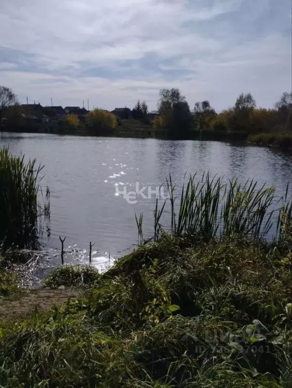 Дом в Нижегородская область, Большемурашкинский муниципальный округ, ... - Фото 1