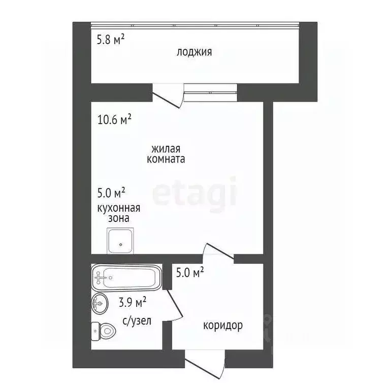 Студия Амурская область, Благовещенский район, с. Чигири ул. ... - Фото 2