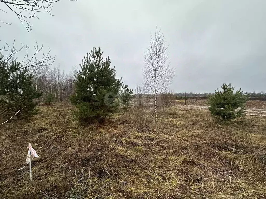 Участок в Владимирская область, Ковровский район, Доброград ... - Фото 2