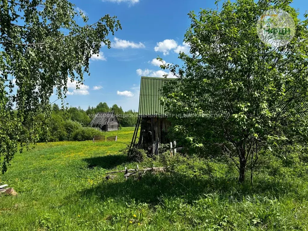 Участок в Ленинградская область, Подпорожское городское поселение, д. ... - Фото 0