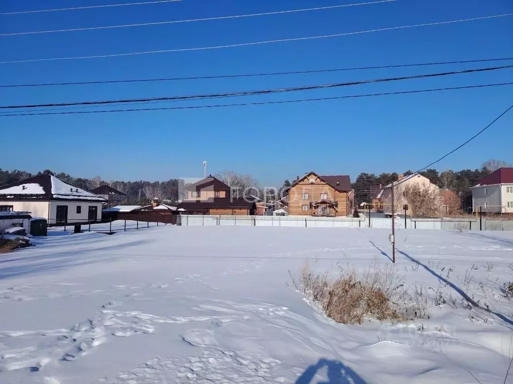 Участок в Новосибирская область, Новосибирский район, Кудряшовский ... - Фото 1