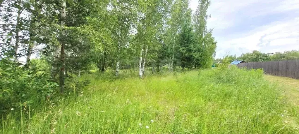 Участок в Владимирская область, Ковровский район, Малыгинское с/пос, ... - Фото 1