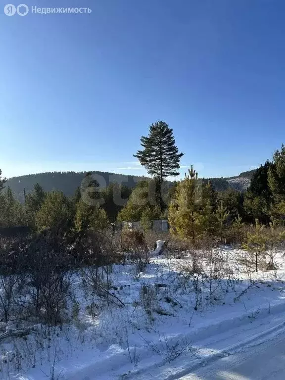 Участок в Читинский район, СНТ Горный (9 м) - Фото 2