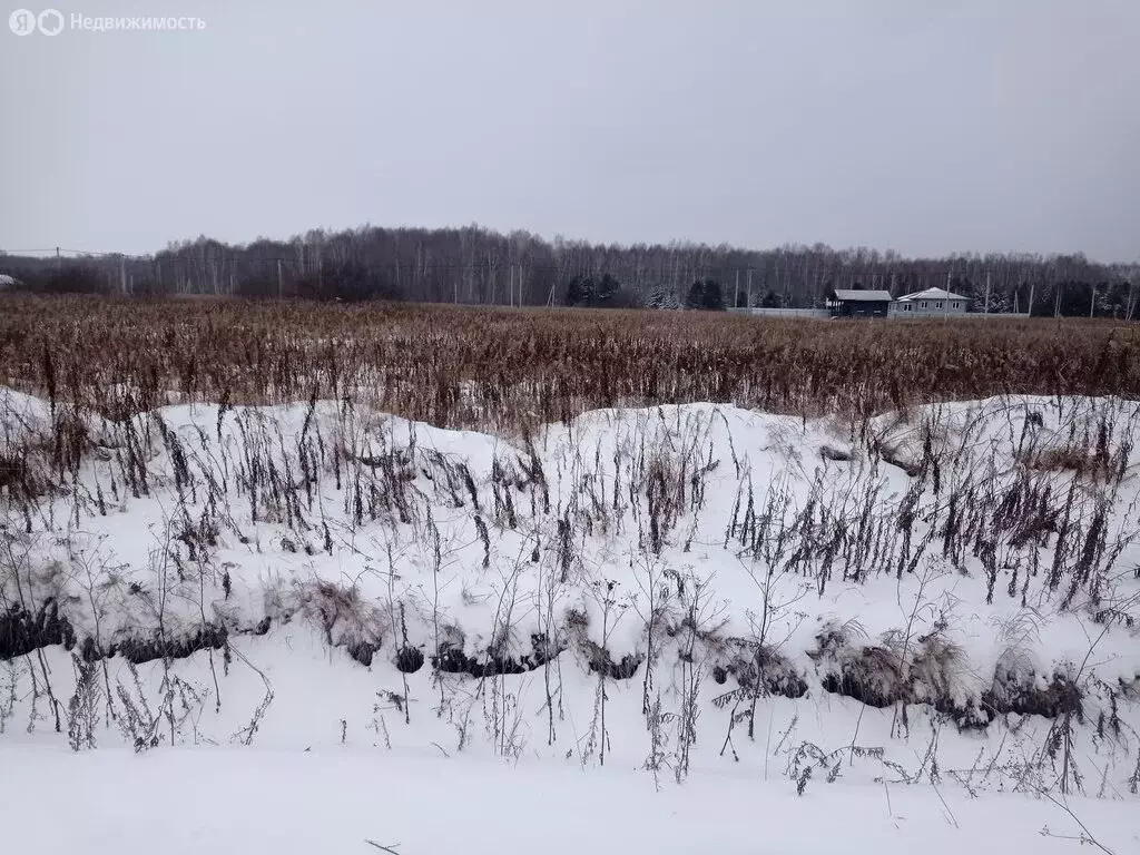 Участок в Тюменский муниципальный округ, Каменское муниципальное ... - Фото 2