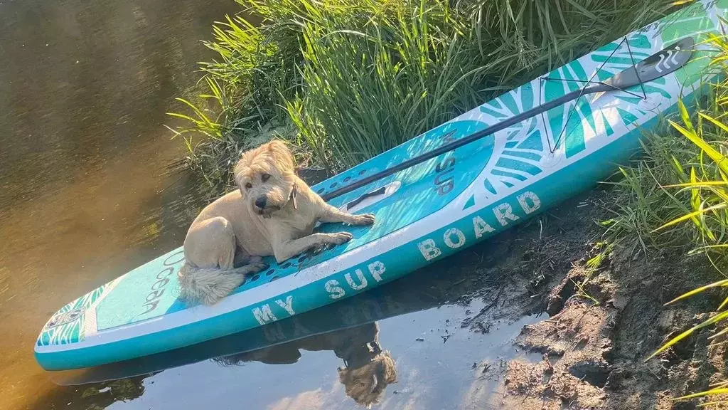 Дом в Московская область, Рузский муниципальный округ, д. Марково  (50 ... - Фото 2