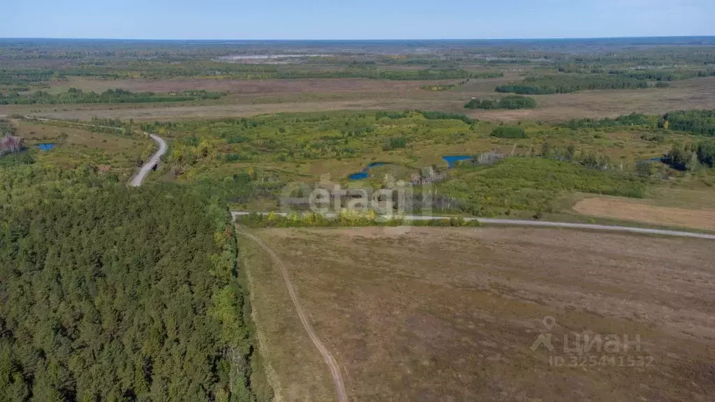 Участок в Тюменская область, Тюменский муниципальный округ, с. ... - Фото 1