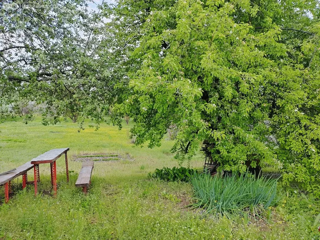 Дом в хутор Ямы, Советская улица (45 м) - Фото 0