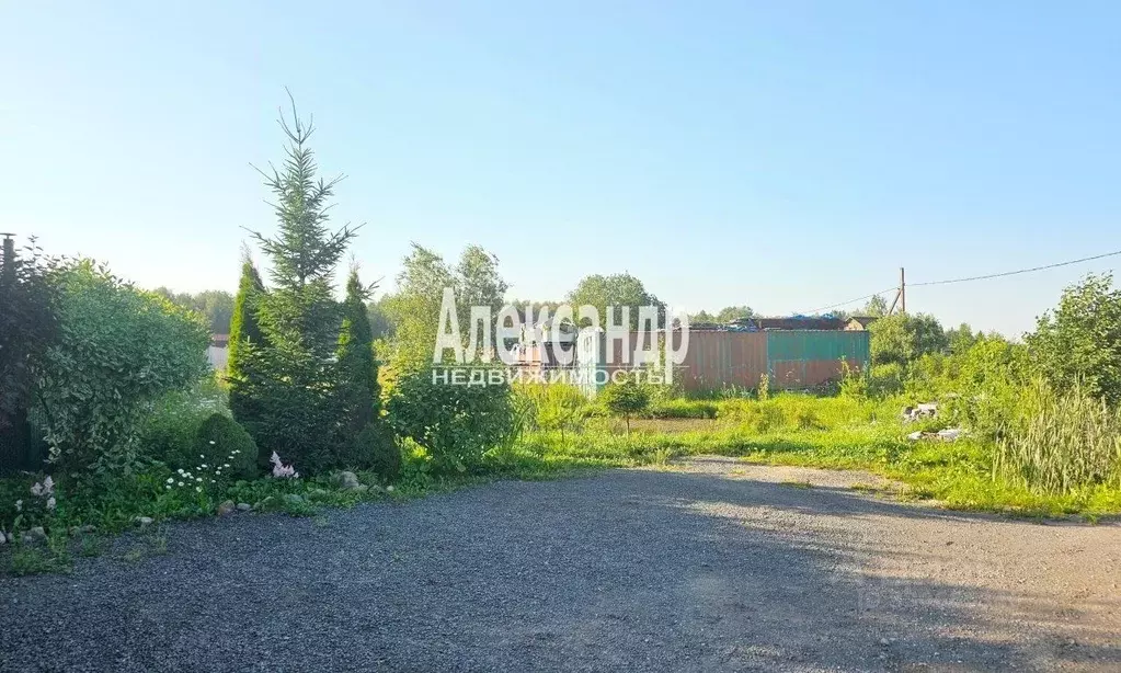 Участок в Ленинградская область, Ломоносовский район, Виллозское ... - Фото 1
