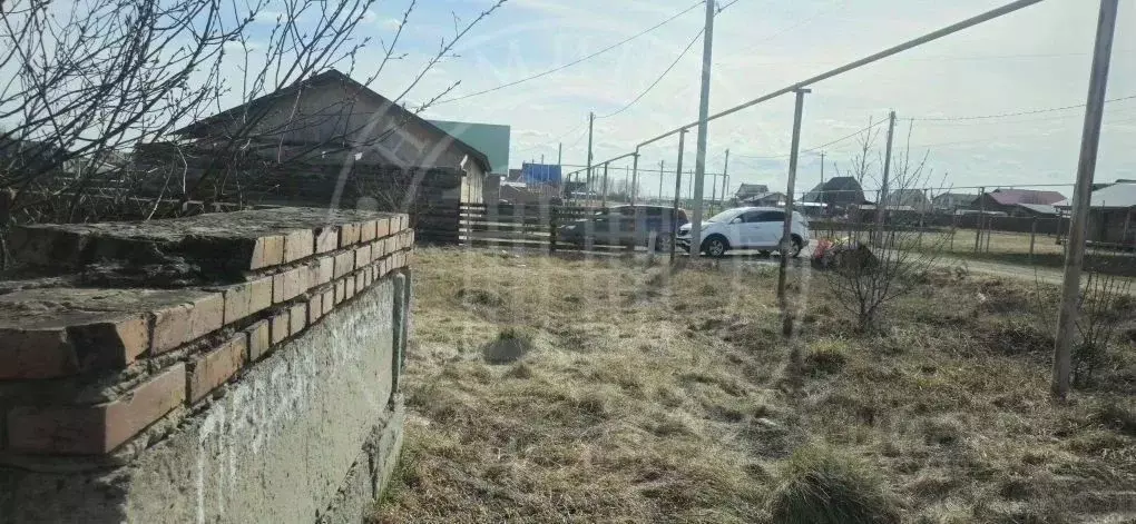 Участок в Новосибирская область, Ордынский район, с. Новопичугово ... - Фото 1