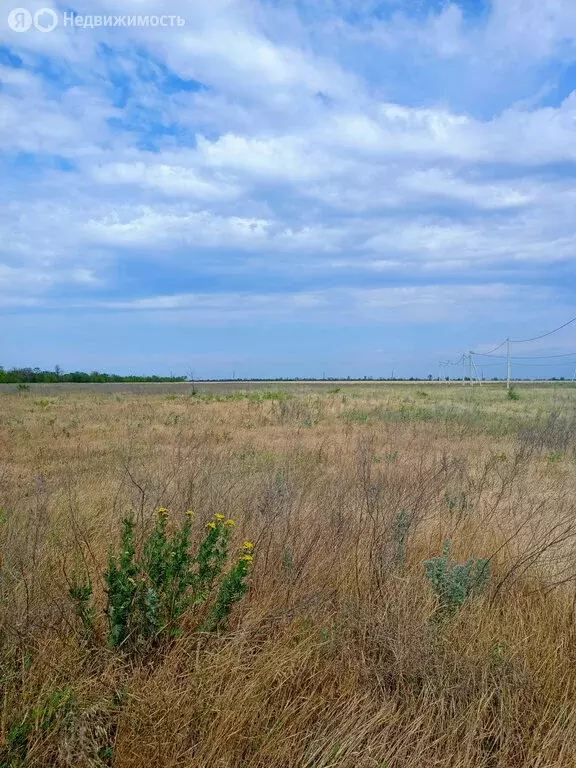 Участок в Новочеркасск, улица Овечкина, 20 (6 м) - Фото 1