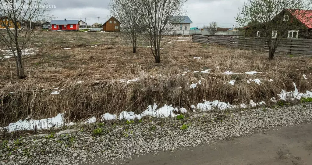 Участок в деревня Марфино, деревня Шаньково, Рябиновая улица (10 м) - Фото 1
