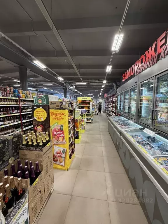 Помещение свободного назначения в Московская область, Раменский ... - Фото 2