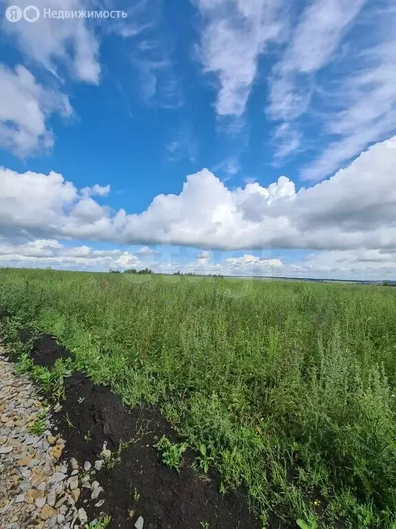Участок в Лямбирский район, село Берсеневка (14 м) - Фото 0