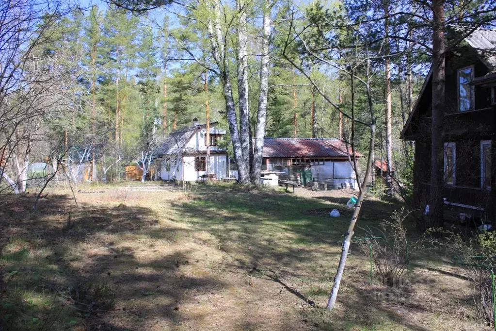 Участок в Ленинградская область, Приозерский район, Сосновское с/пос, ... - Фото 1