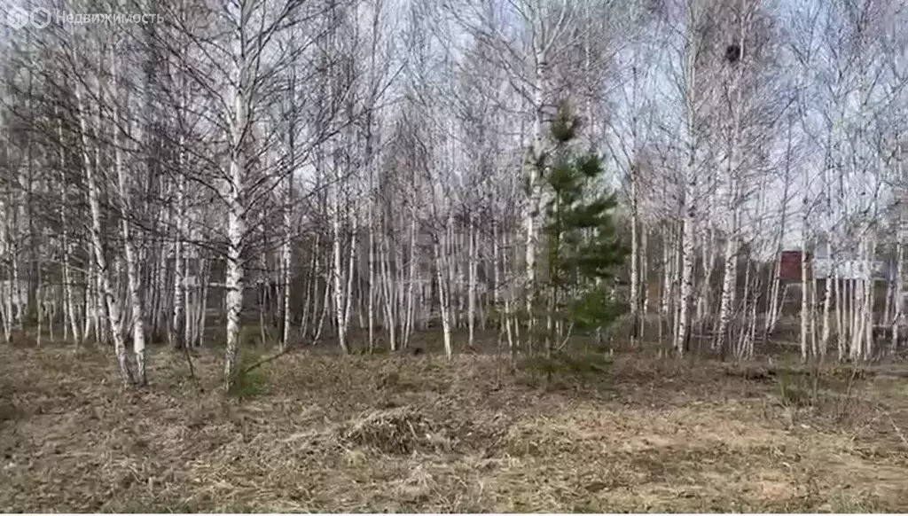 Участок в Новолуговской сельсовет, СНТ Лада-2, 1-я Полевая улица (5 м) - Фото 1