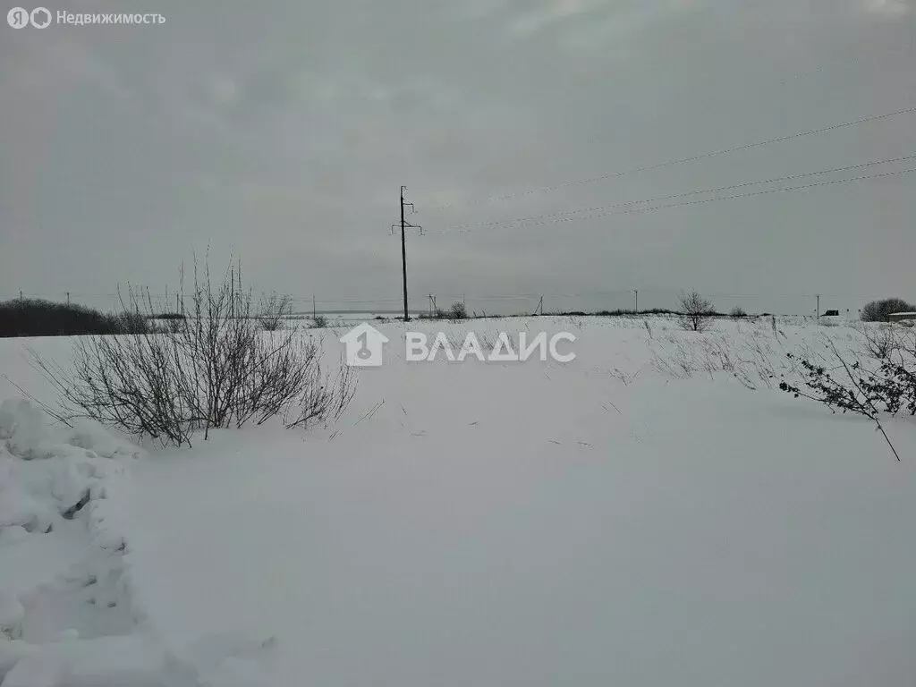Участок в Засечный сельсовет, село Лебедёвка, Родниковая улица (9.5 м) - Фото 1