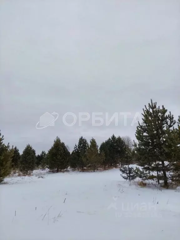 Участок в Тюменская область, Тюменский муниципальный округ, с. Кулига, ... - Фото 2