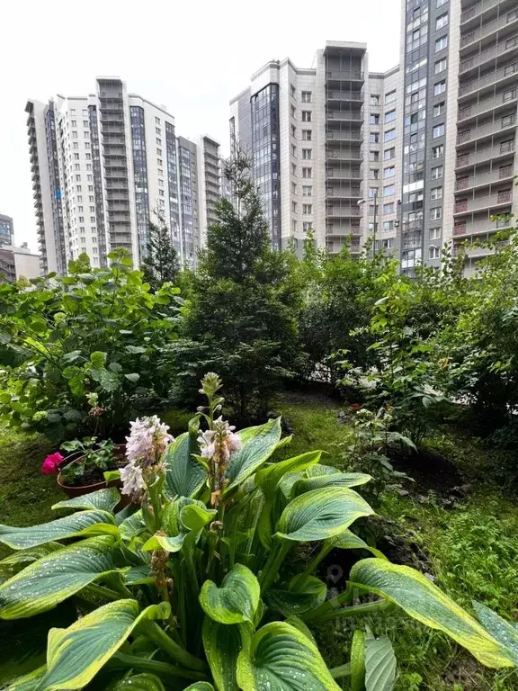 Студия Санкт-Петербург ул. Русановская, 19к1 (28.1 м) - Фото 0