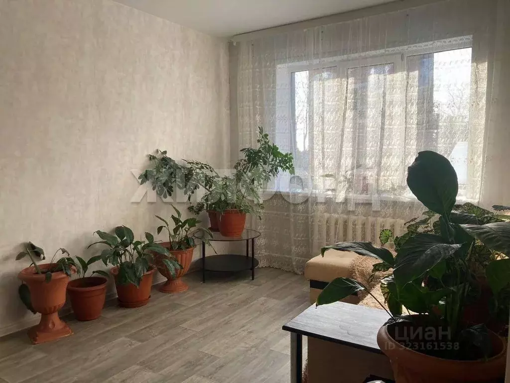 2-к кв. Новосибирская область, Новосибирский район, Барышевский ... - Фото 2