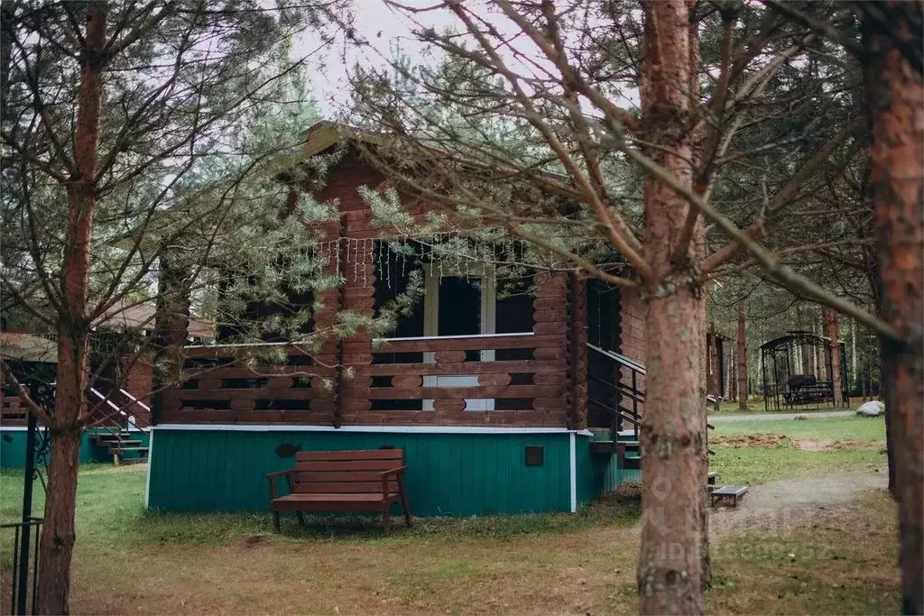 Дом в Новгородская область, Любытинское с/пос, д. Бор 129 (36 м) - Фото 1