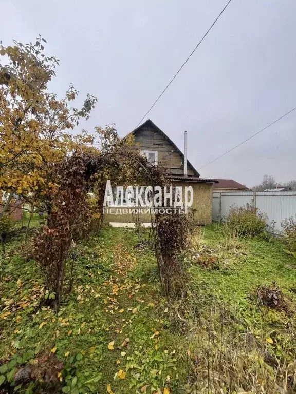 Участок в Ленинградская область, Кировский район, Мгинское городское ... - Фото 1