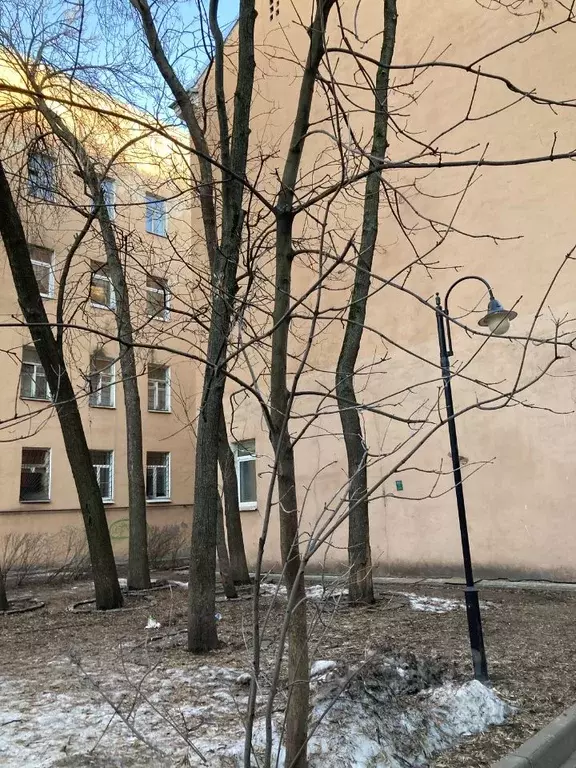 1-к кв. Санкт-Петербург 6-я Советская ул., 32 (23.0 м) - Фото 1