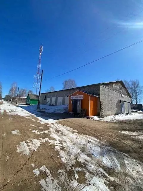 Помещение свободного назначения в Архангельская область, Вельский ... - Фото 1