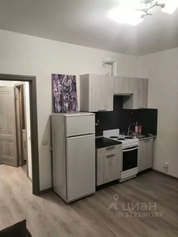 Студия Санкт-Петербург ул. Среднерогатская, 13к1 (26.0 м) - Фото 0