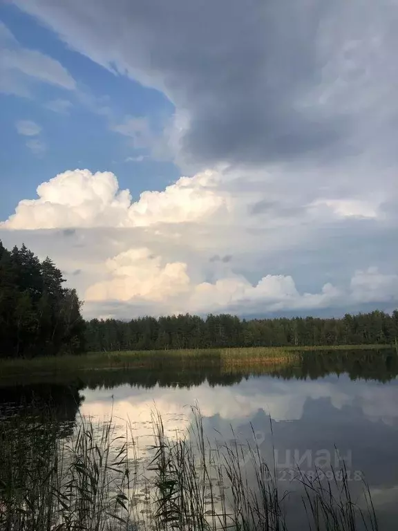 Участок, 9 сот., поселения (ижс) - Фото 0