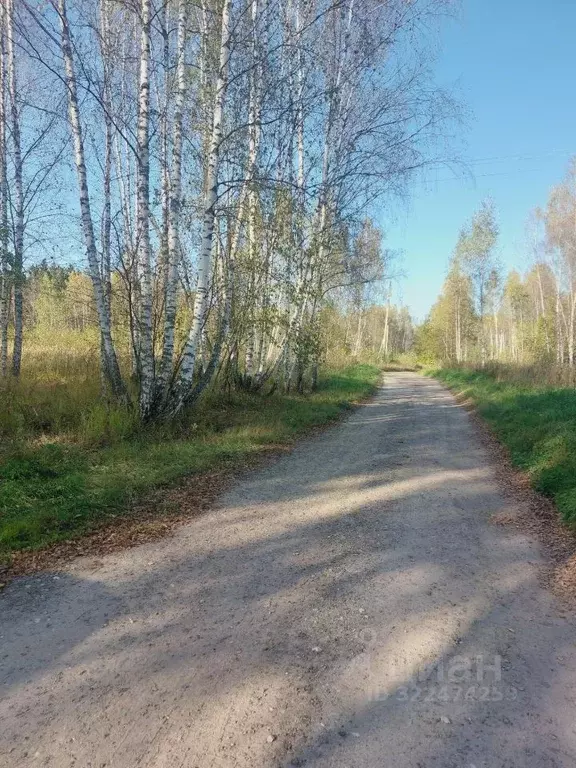 Участок в Калужская область, Калуга городской округ, д. Большая ... - Фото 0