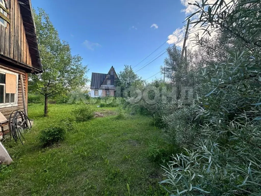 Дом в Новосибирская область, Новосибирск Тополь СНТ,  (40 м) - Фото 1