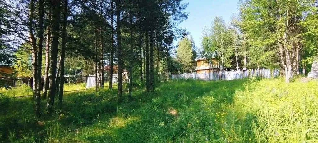 Участок в Мурманская область, Кольский муниципальный округ, Тайбола ... - Фото 1