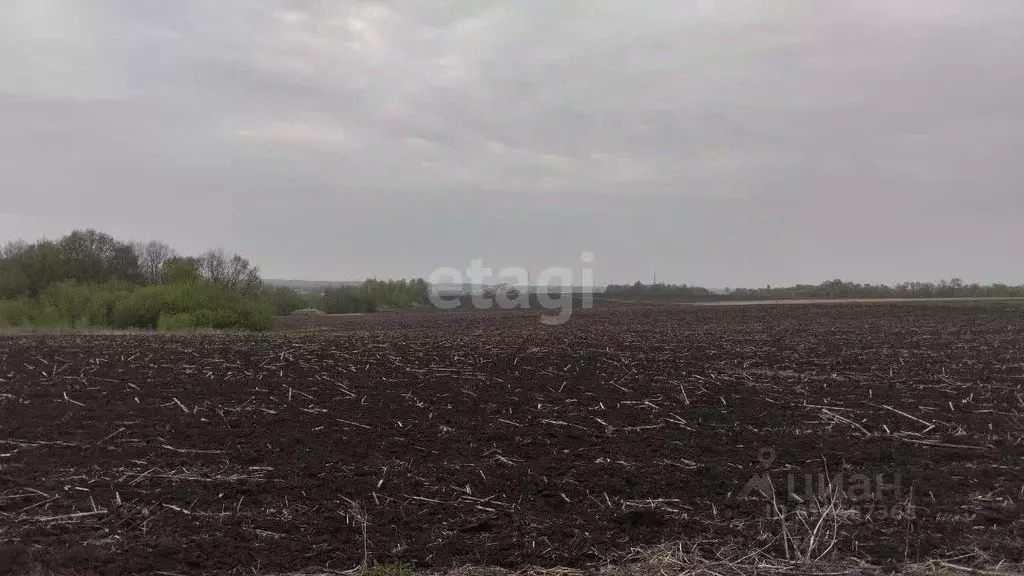 Участок в Белгородская область, Белгородский район, Дубовское с/пос, ... - Фото 0