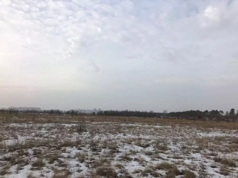 Участок в Оренбургская область, Оренбург пос. Ростоши, ул. Плесецкая . - Фото 1