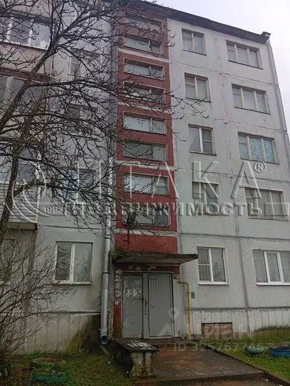 1-к кв. Ленинградская область, Выборгский район, Каменногорское ... - Фото 2