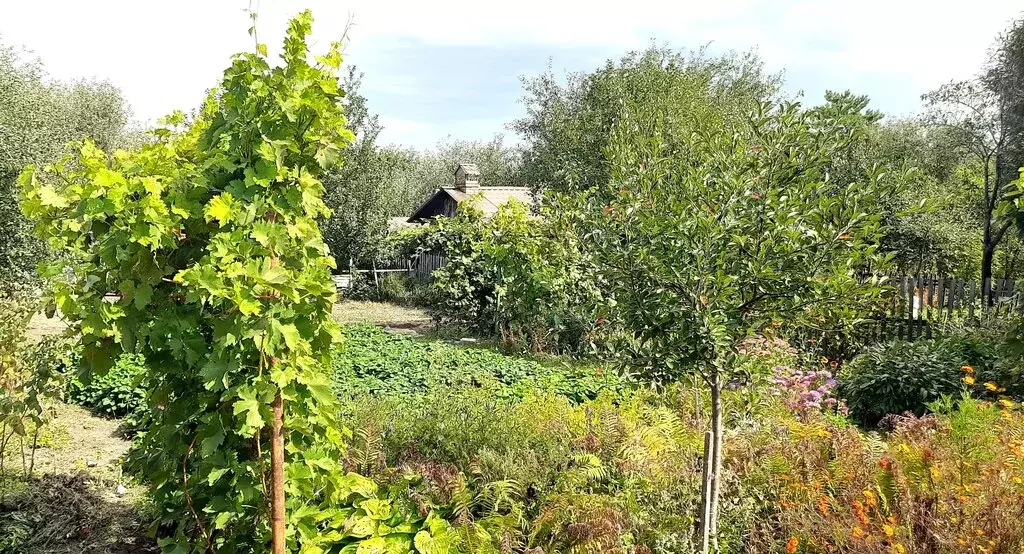 Дом в Быково-Отрогское муниципальное образование, СТ Мичуринец, 184 ... - Фото 1