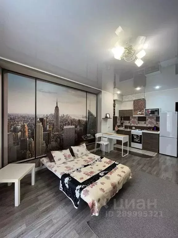 Студия Омская область, Омск ул. Перелета, 33 (31.0 м) - Фото 1