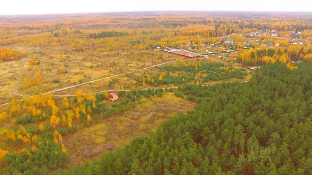 Участок в Владимирская область, Петушинский район, Пекшинское ... - Фото 0