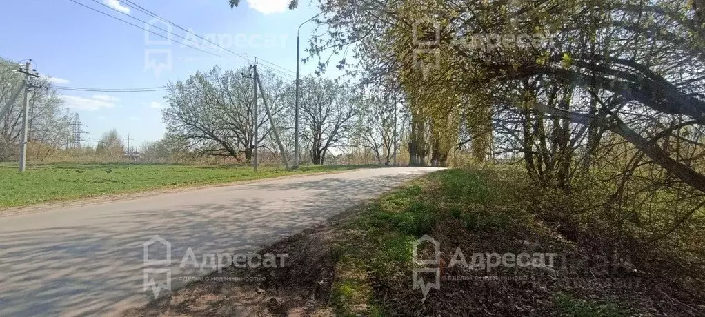 Участок в Волгоградская область, Среднеахтубинский район, Клетское ... - Фото 0