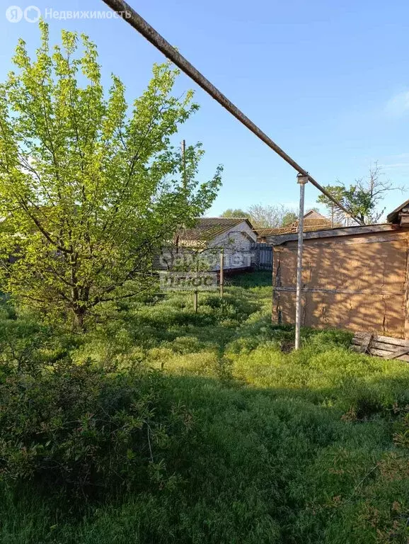 Дом в село Вышка, Октябрьская улица, 16 (35 м) - Фото 1