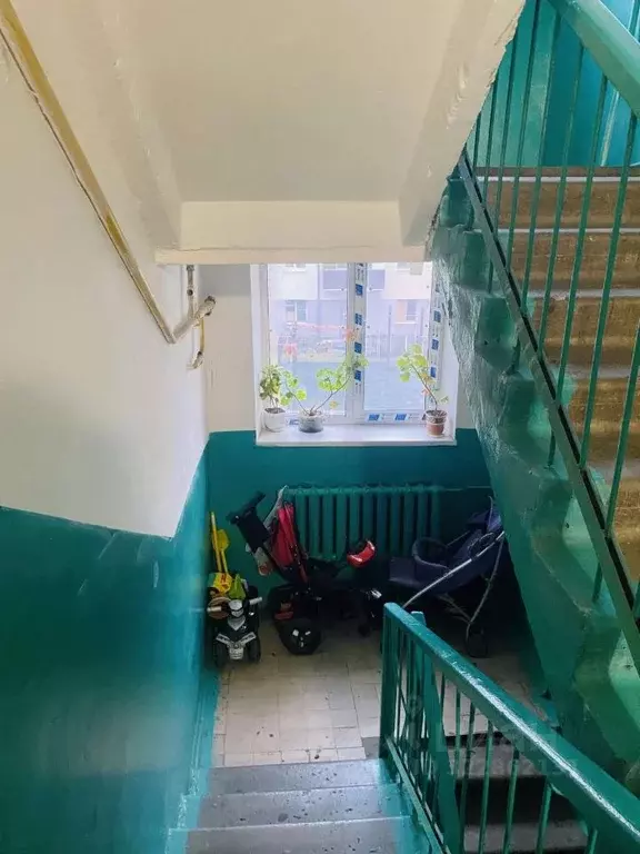 2-к кв. Белгородская область, Старый Оскол ул. Ленина, 67/9 (50.8 м) - Фото 2