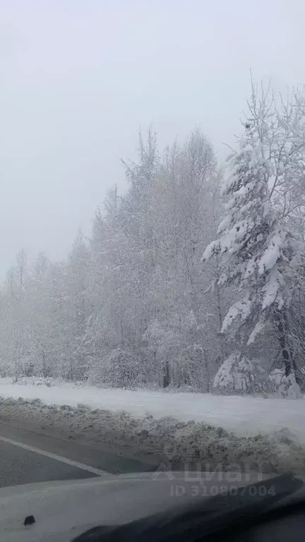 Участок в Кемеровская область, Таштагол ул. Крупской (15.0 сот.) - Фото 2