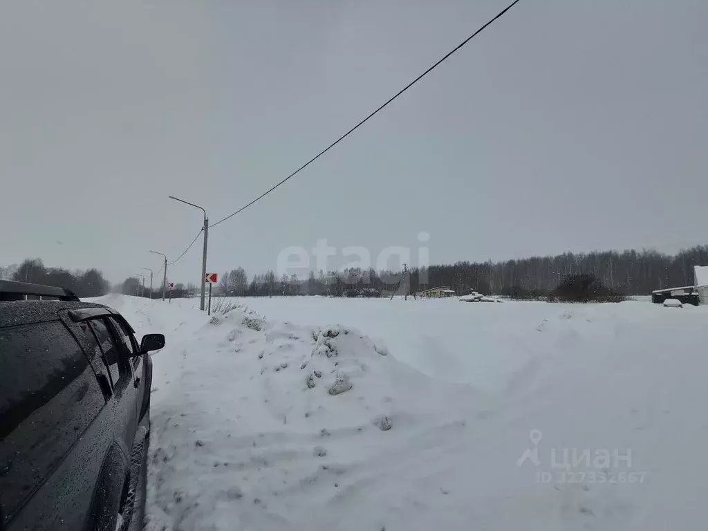 Участок в Ярославская область, Некрасовский муниципальный округ, д. ... - Фото 2