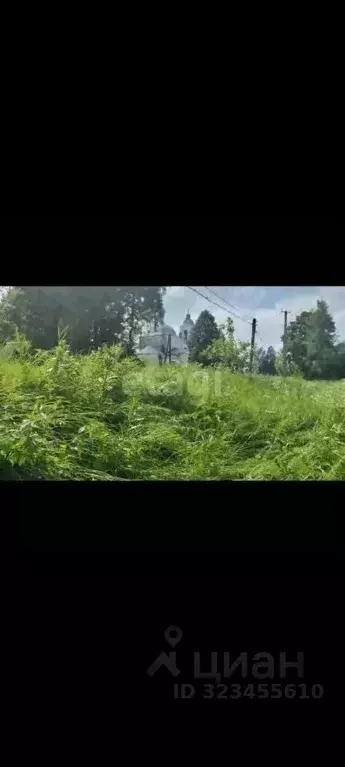 Участок в Ярославская область, Первомайский муниципальный округ, с. ... - Фото 1