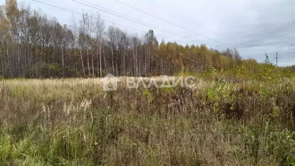 Участок в Нижегородская область, Павловский район, д. Щепачиха 46А ... - Фото 0