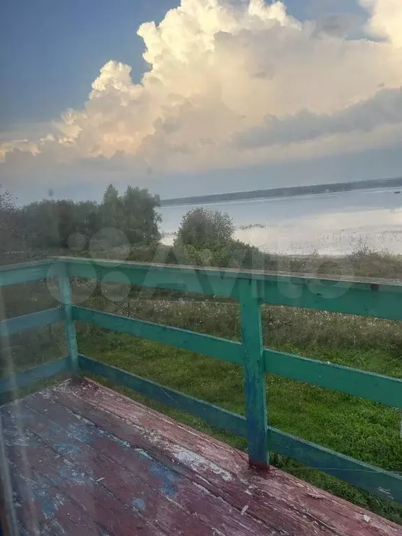 Дом 54,2 м на участке 47,7 сот. - Фото 1